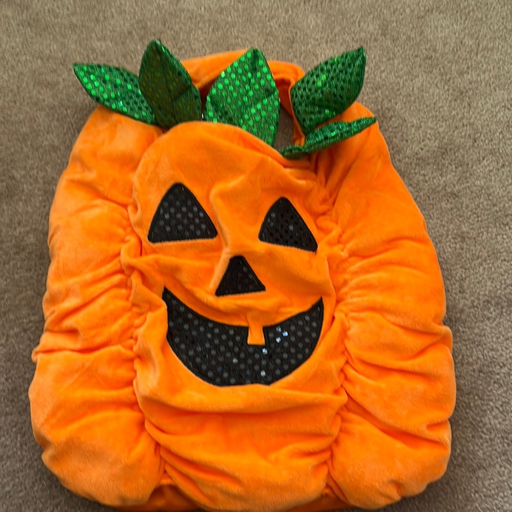 Thrills and Chills Dog/Cat Pumpkin Halloween Costume 🎃